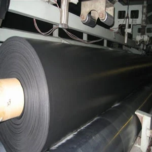 Chinese Eco-Friendly 0.75mm HDPE Geomembrane Liner Waterproofing Membranes