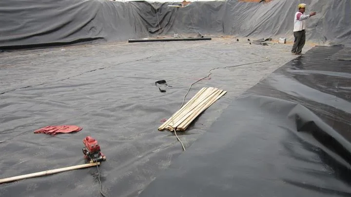 Building Material HDPE Smooth Blue Film Geomembrane for Fish Pond.