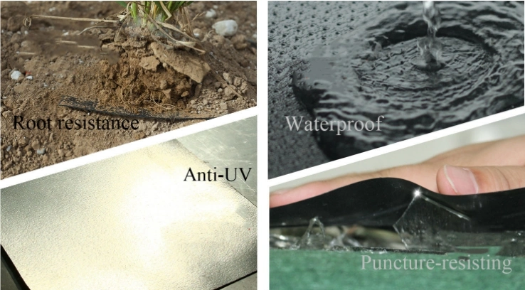 GM13 40 Mil 0.75mm 1.0mm 1.5mm HDPE Smooth Waterproof Geomembrane for Fish Pond Liner