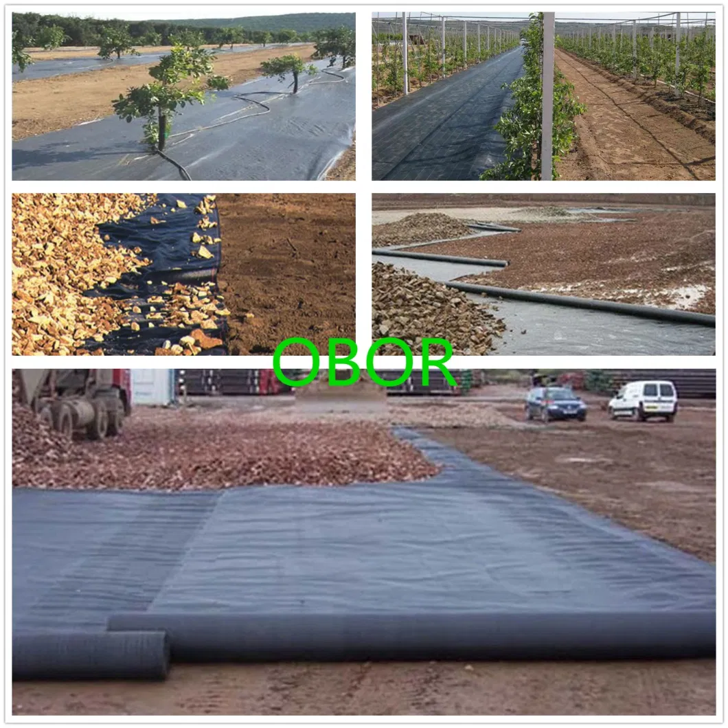 Build Matetial PP Woven Geotextile Best Price for Wick Drain Factory Price