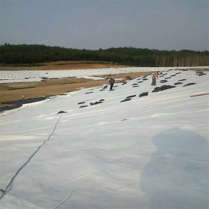 Waterproof One Film Two Cloth Composite Geomembrane for Landfill