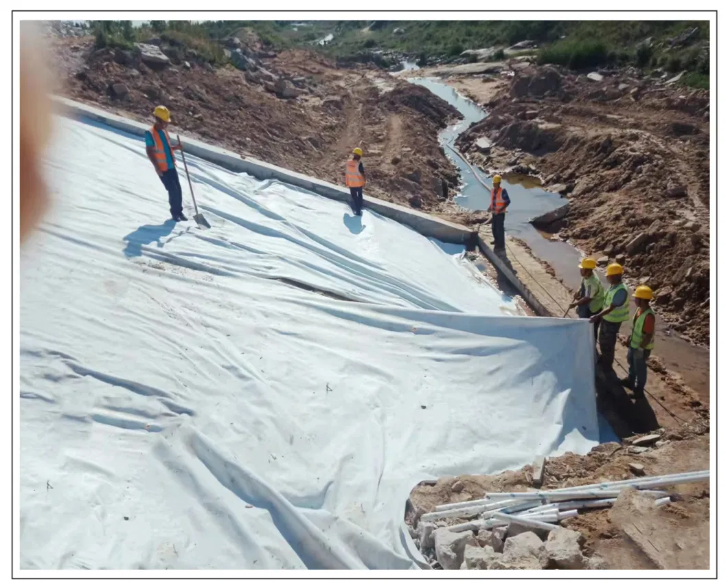 Customized Non Woven Geobag Geotextile Grow Tube PP Sand Geo Textile Bag Used in Embankment Protection Global Hot Sold