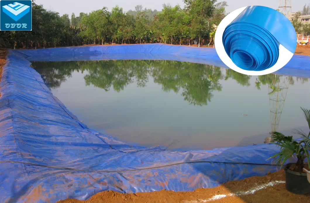 Blue Film HDPE Geomembrane for Dam/Landfill/Lake/Biogas/Mining/Fish/Shrimp Farm Pond Liner Manufacturer Price