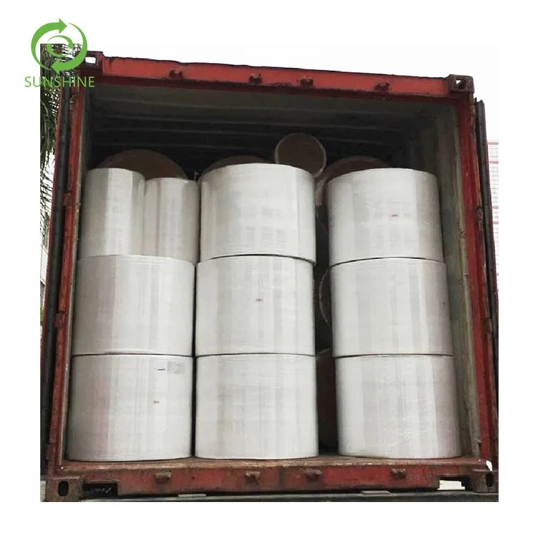 Needle Punched Geotextile Fabric Suppliers Non Woven in Road Construction