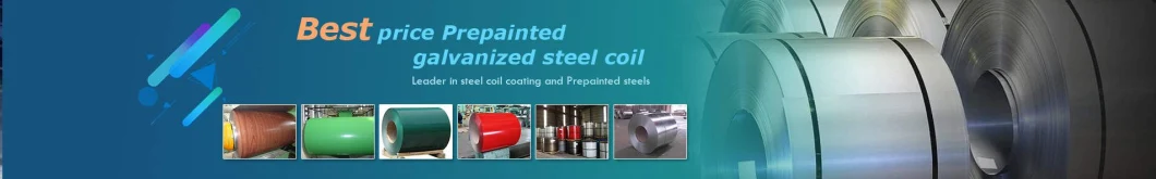 Manufacturer 2mm PPGI PPGL Color Coated Steel Coil Prepainted Galvanized Steel Coil PPGI for Building