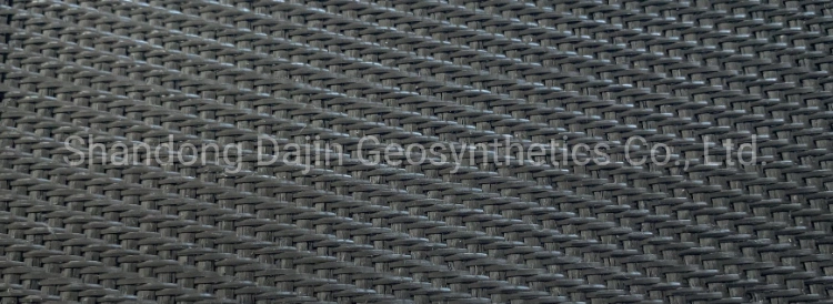 Pet PP Woven Geotextile for Soil Erosion Control Mine Landfill Coast Geotube Embank