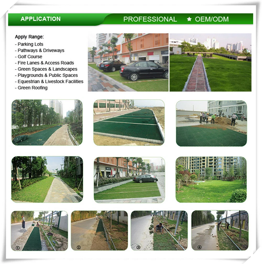 Cost Effective Eco-Friendly Pavements Plastic Grid Grass Paver for Slope Protection HDPE Geocell