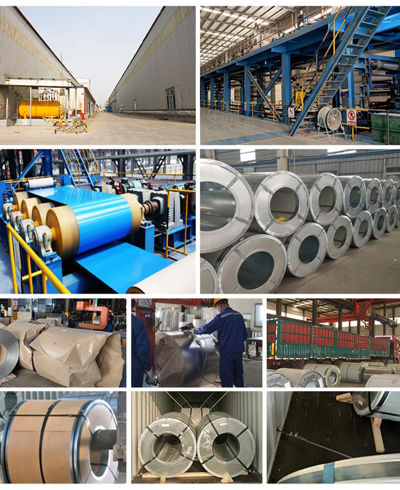 China Factory Prime Quality Galvanized Steel Coil for PPGI Steel Coil