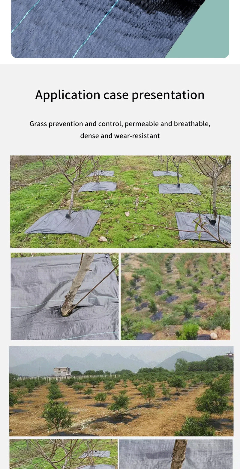 Woven Fabric Geotextile Weed Control Ground Cover Silt Fence Stabilization PP Woven Geotextile for Soil Reinforcement Anti Grass