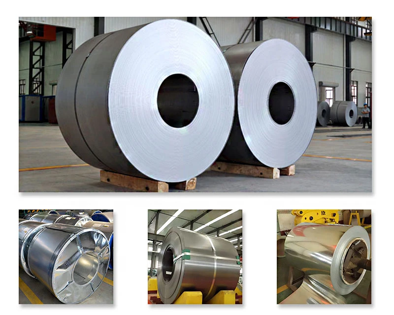 Gi Steel Coils with High Quality and Best Factory Price in China Building Material