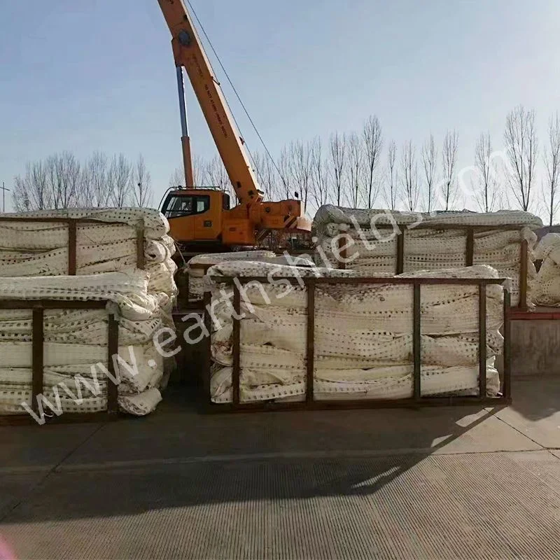 Polyester High Tensile Strength Mining Geogrid Suitable for Underground in The Coal Mine