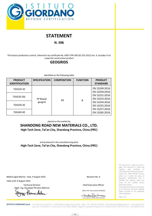 China Shop Online Plastic Geogrid 3030 for Road