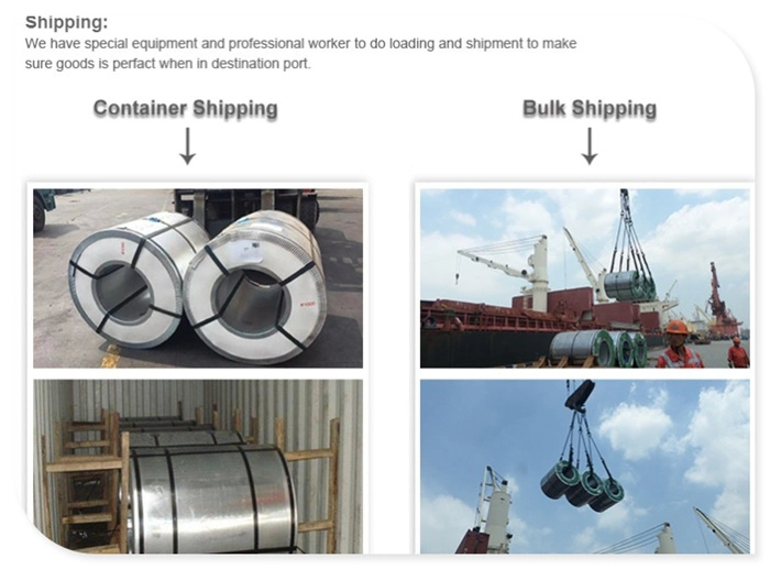 Factory Sell Prices Hot DIP Galvanized Roofing/Ship/Boiler Steel Coil with All Size