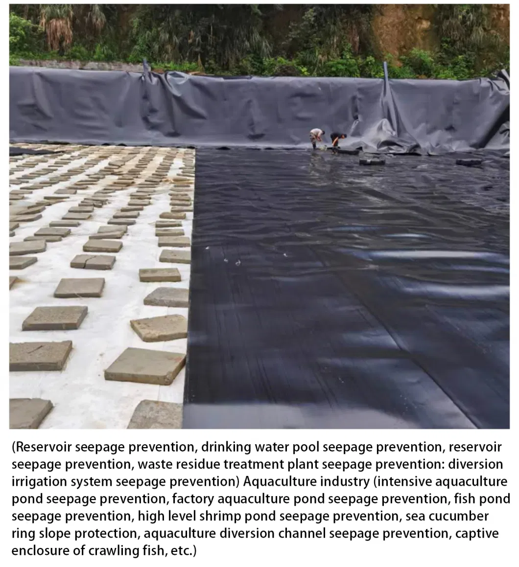 HDPE PVC 1mm Dam Pond Liner Landfill Biodigester Liners Geomembrane