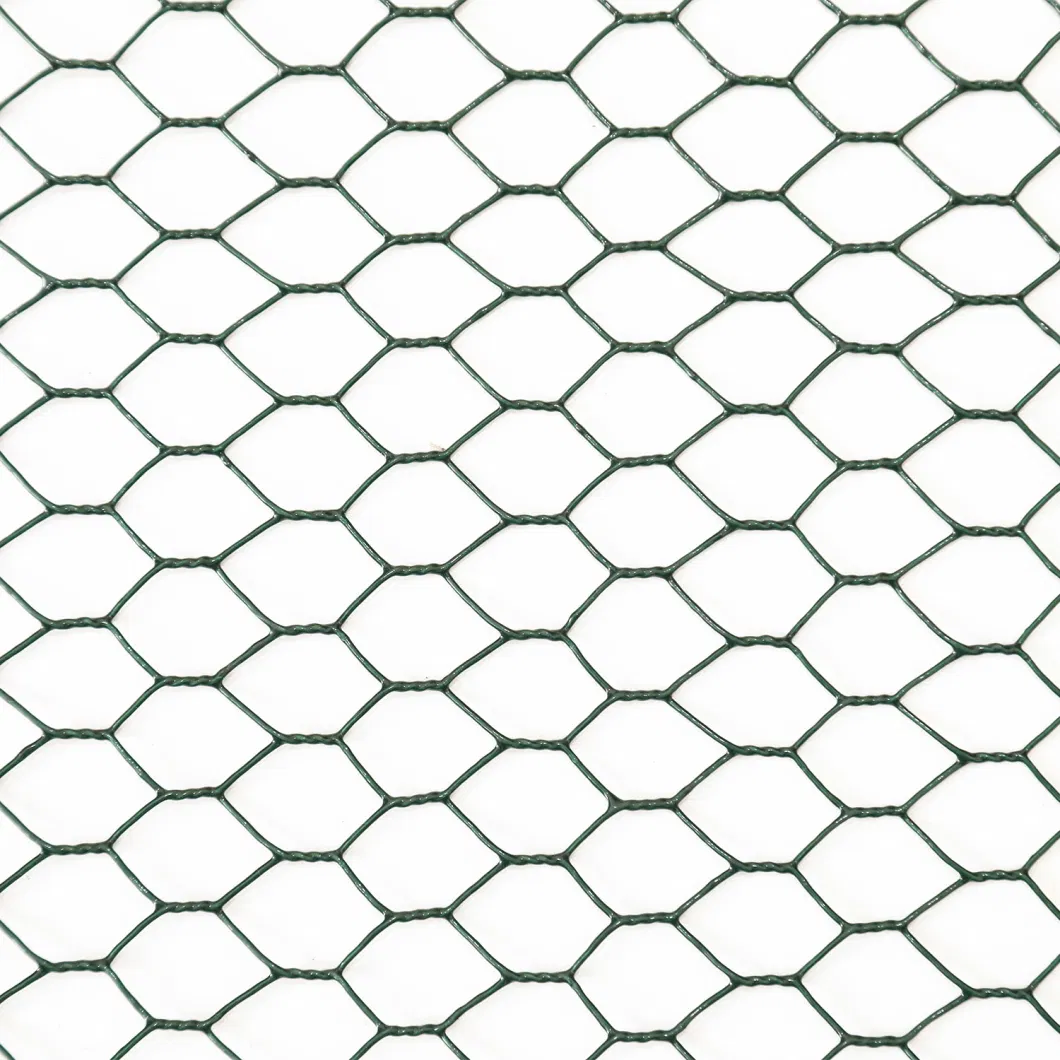 Hot DIP Galvanized Chain Link Fence/Hexagonal Wire Mesh Garden Security Fence