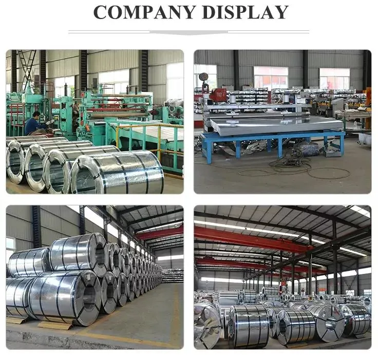 Factory Price Dx51 China Steel Factory Hot Dipped Galvanized Steel Coil Prices