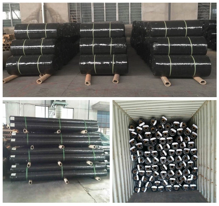 Build Matetial PP Woven Geotextile Best Price for Wick Drain Factory Price