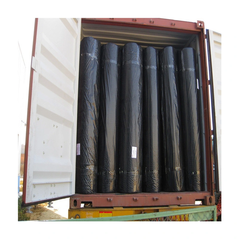 Polyester /Fiberglass /Biaxial /Uniaxial Geogrids for Base Reinforcement