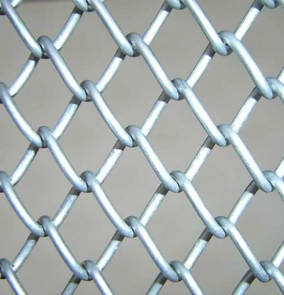 Hot DIP Galvanized Chain Link Fence/Hexagonal Wire Mesh Garden Security Fence