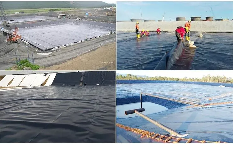 HDPE Waterproof Pond Liner Plastic Geomembrance for Artificial Lake Wetland Park Project