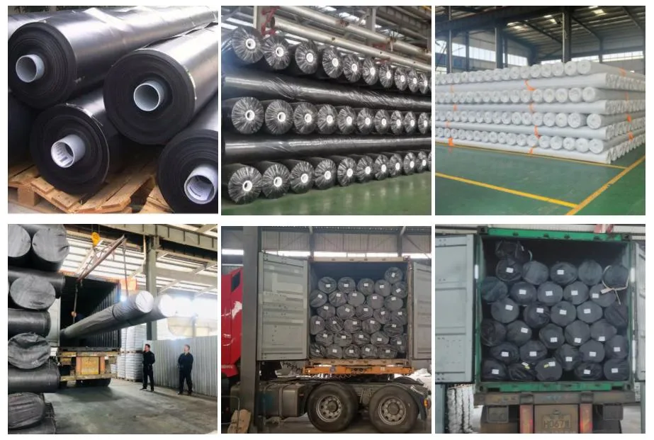 China Customized HDPE/LDPE/PVC/EV/PE/Ecb/Composite Geomembrane Manufacturer for Aquaculture/Fish/Shrimp/Pond/Dam/Landfill/Mining/Salt/Tailing Liner/Reservroir