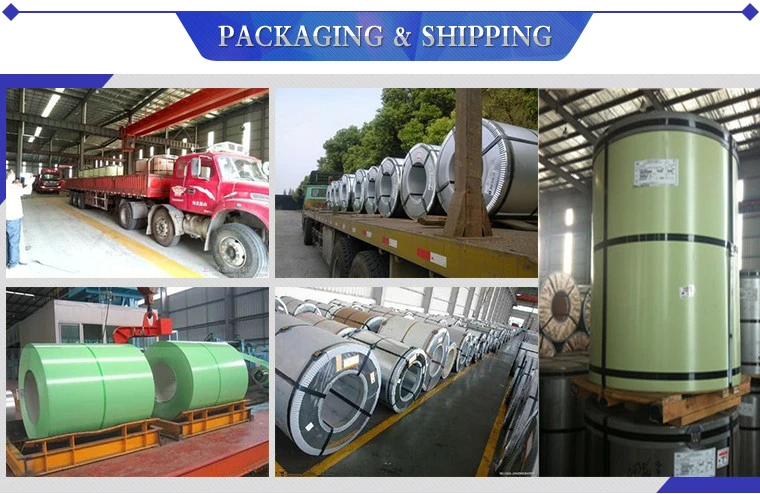 Wholesale Best Price Zinc Coating Dx51d Prepaint Galvanized Steel Coil PPGI