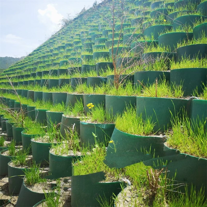 Customized Black Green HDPE Geocell Gravel Grid Stabilizer for Honeycomb Slope Protection and Engineering Construction