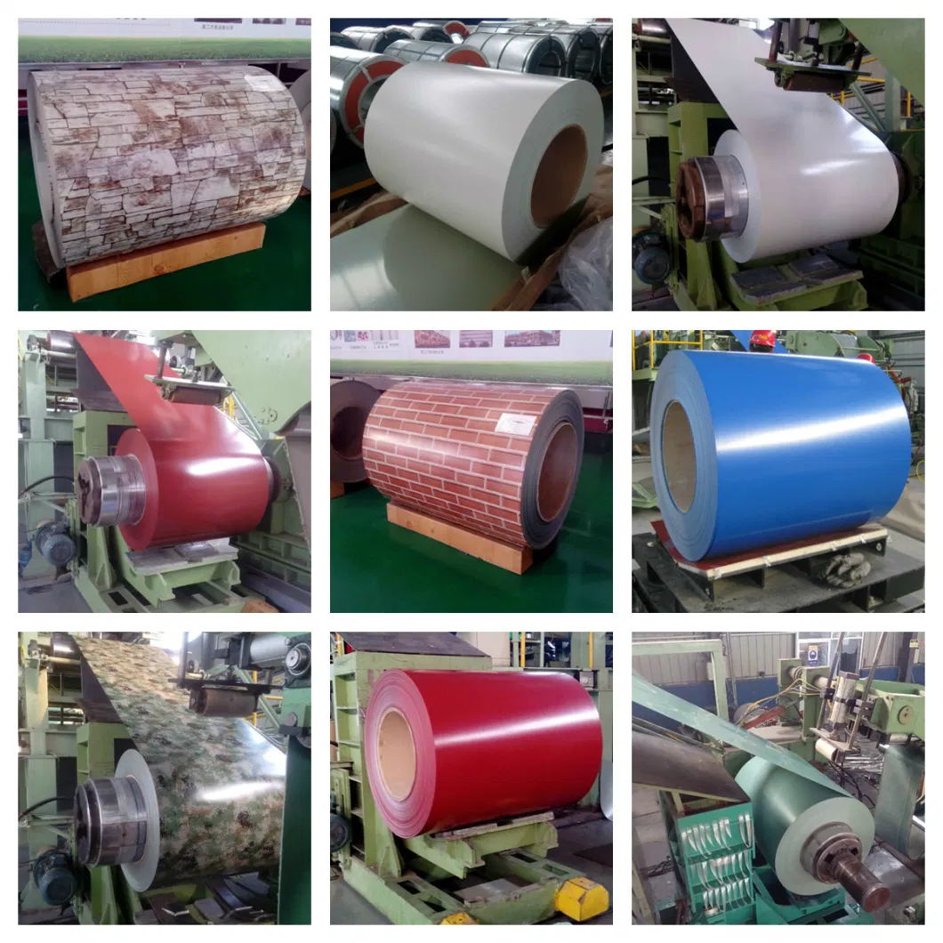 Prepainted Galvanized Steel Coil Factory/Sheet/PPGI/Dx51d/ China Iron Steel