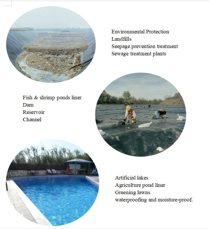 Fish Safe Pond Liner Impermeable Geotextile Membrane Green Pond Liner Harga Geomembrane Per M2