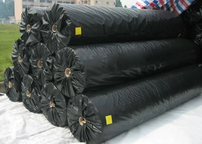 Bonded with Nonwoven Geotextile 1000G/M2 Sqm Geocomposite Geonet for Highway Drainage Price