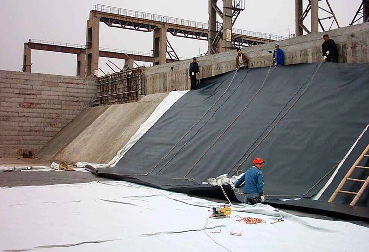 Manufacturer Geosynthetics Smooth HDPE Geomembrane for Irrigation Canals