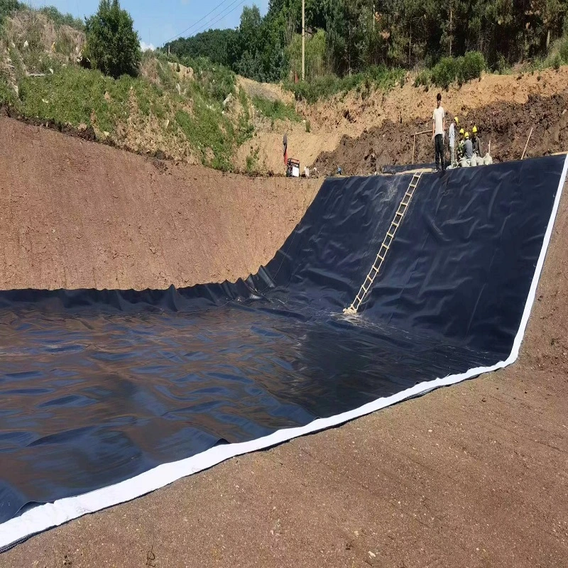 Customized HDPE/LDPE/PVC/EVA Waterproof Pond Dam Liner Textured/Composite/Geomembrane for Landfill Mining Agriculture