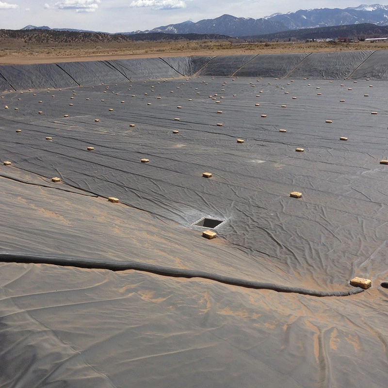 Harga Geomembrane HDPE Liner Sheet for Waterproofing Lining of Dam in Zambia