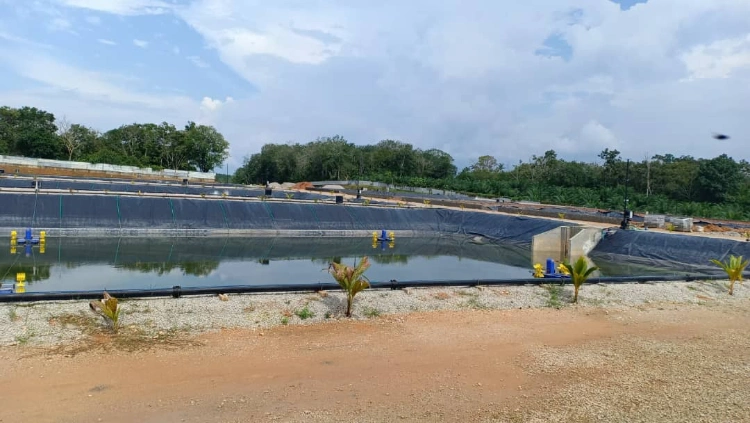 0.5mm Fish Farm Pond Liner 0.7mm Waterproof Geomembrane HDPE Liner Manufacturer 1mm HDPE Geomembrane for Pond