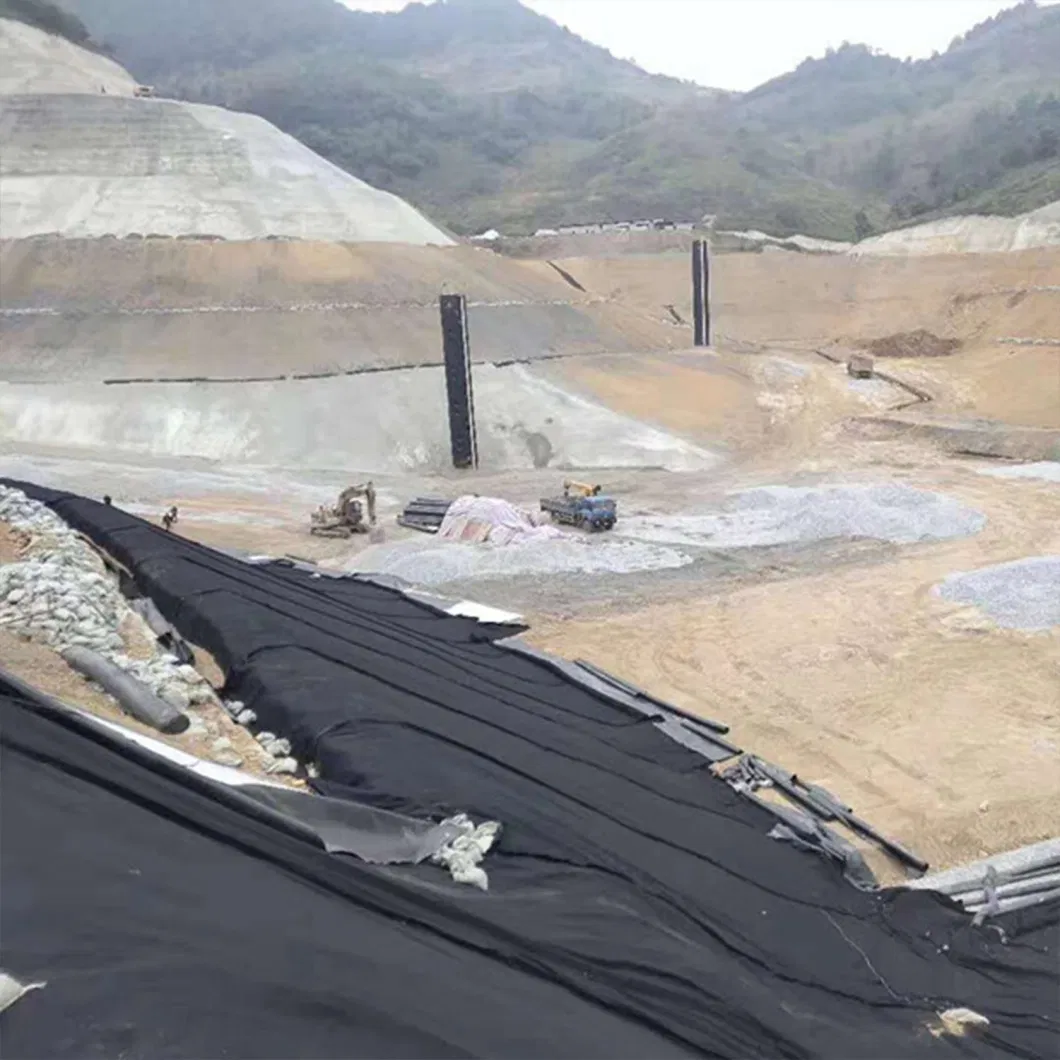 HDPE Anti-Seepage Geotextile Membrane for Biogas Digesters and Landfill Sites