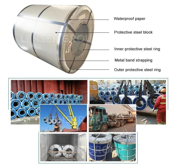 Prepainted Galvanized Steel Coil Factory/Sheet/PPGI/Dx51d/ China Iron Steel