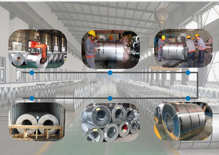 Chinese Suppliers Hot Rolled Prepainted Galvanized Steel Coil/ Sheet