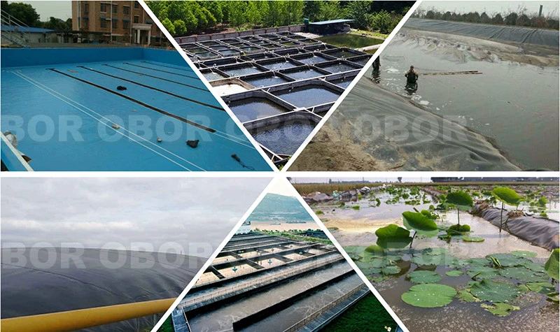 60 Mil ASTM Virgin Material Reinforced HDPE Geomembrane Direct Factory China