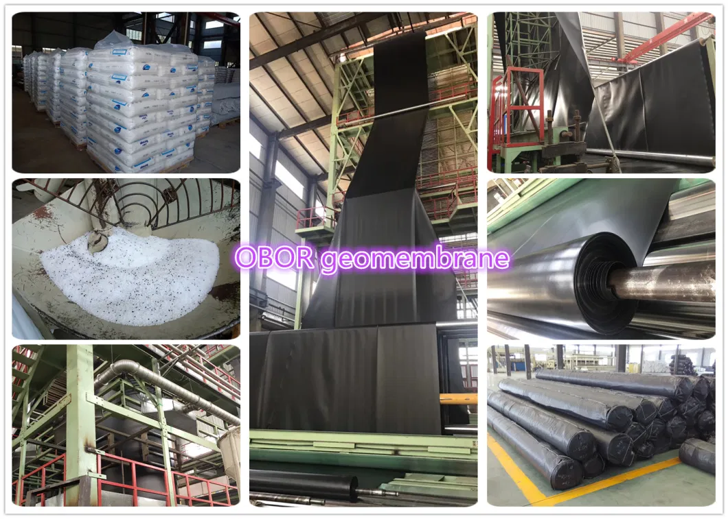 Factory Price 0.75mm Plastic Geomembrane HDPE Pond Liner