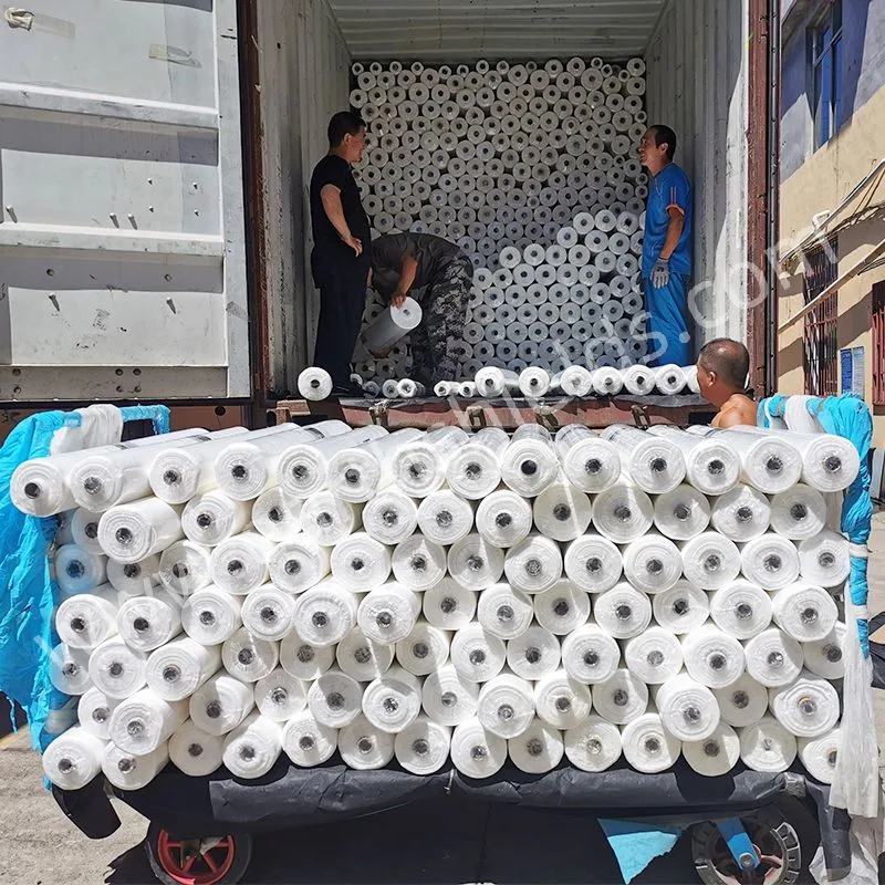 Customized Woven and Non-Woven Geotextile for Drainage/Landfill Projects