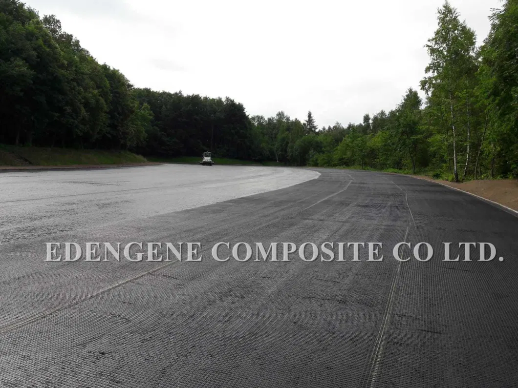 Glassfiber Geogrid Bitumen Coated Back Geotextile for Asphalt Road/Overlay Reinforcement