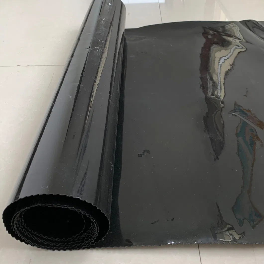 HDPE Anti-Seepage Geotextile Membrane for Biogas Digesters and Landfill Sites