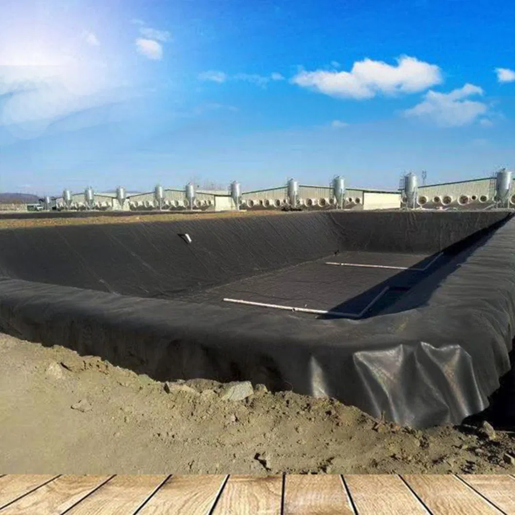 HDPE Anti-Seepage Geotextile Membrane for Biogas Digesters and Landfill Sites