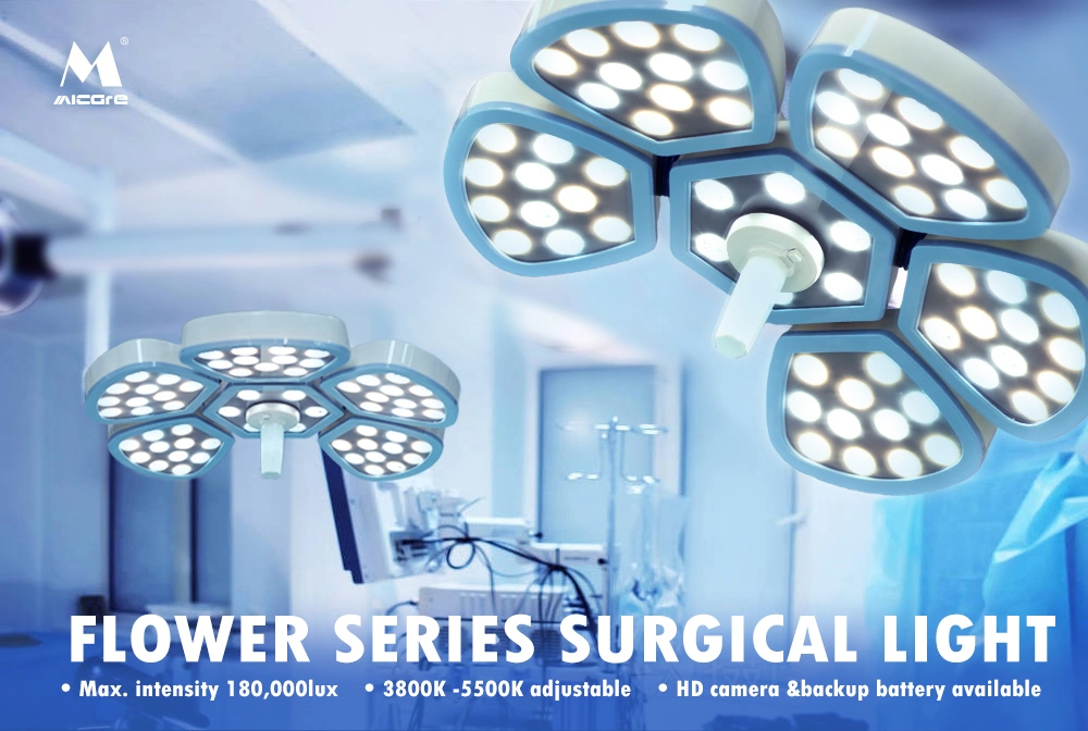 Surgical Double Domes Shadowless Light Operation Lamp
