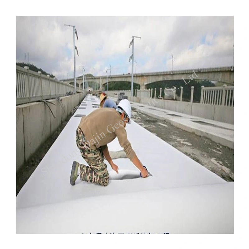 Pet Polyester Geotextile Nonwoven White Geo Textile for Reinforcement Filtration Separation