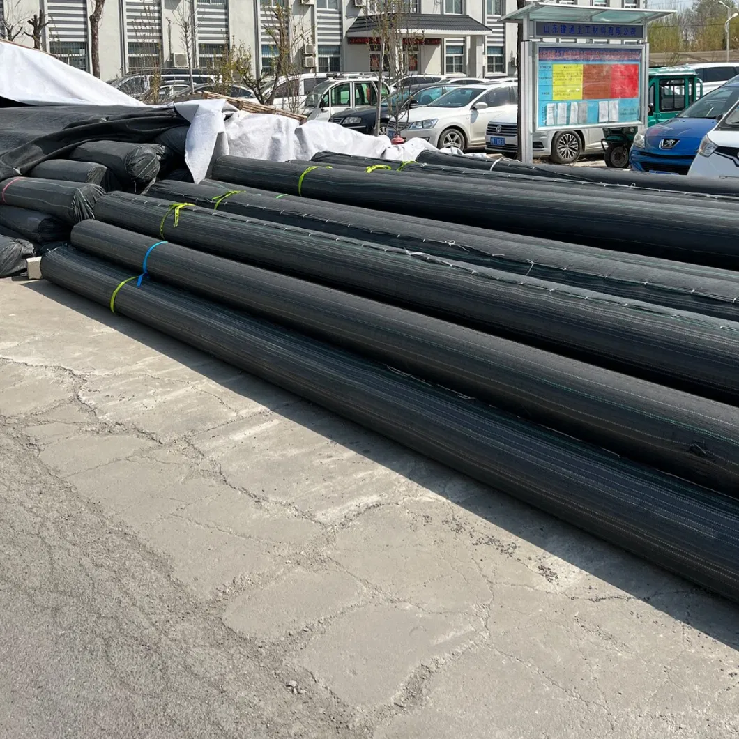 Application of HDPE Plastic Waterproofing/Anti-Seepage Smooth Surface/Rough Surface/Injection Point Composite Geomembrane in Landfill/Tailings Treatment