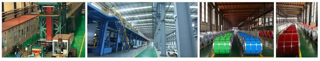 Shandong PPGI Sheet Price Ral Color Coated Steel Coil Pre Painted Dx51d Galvanized Steel Coil Metal PPGI PPGL