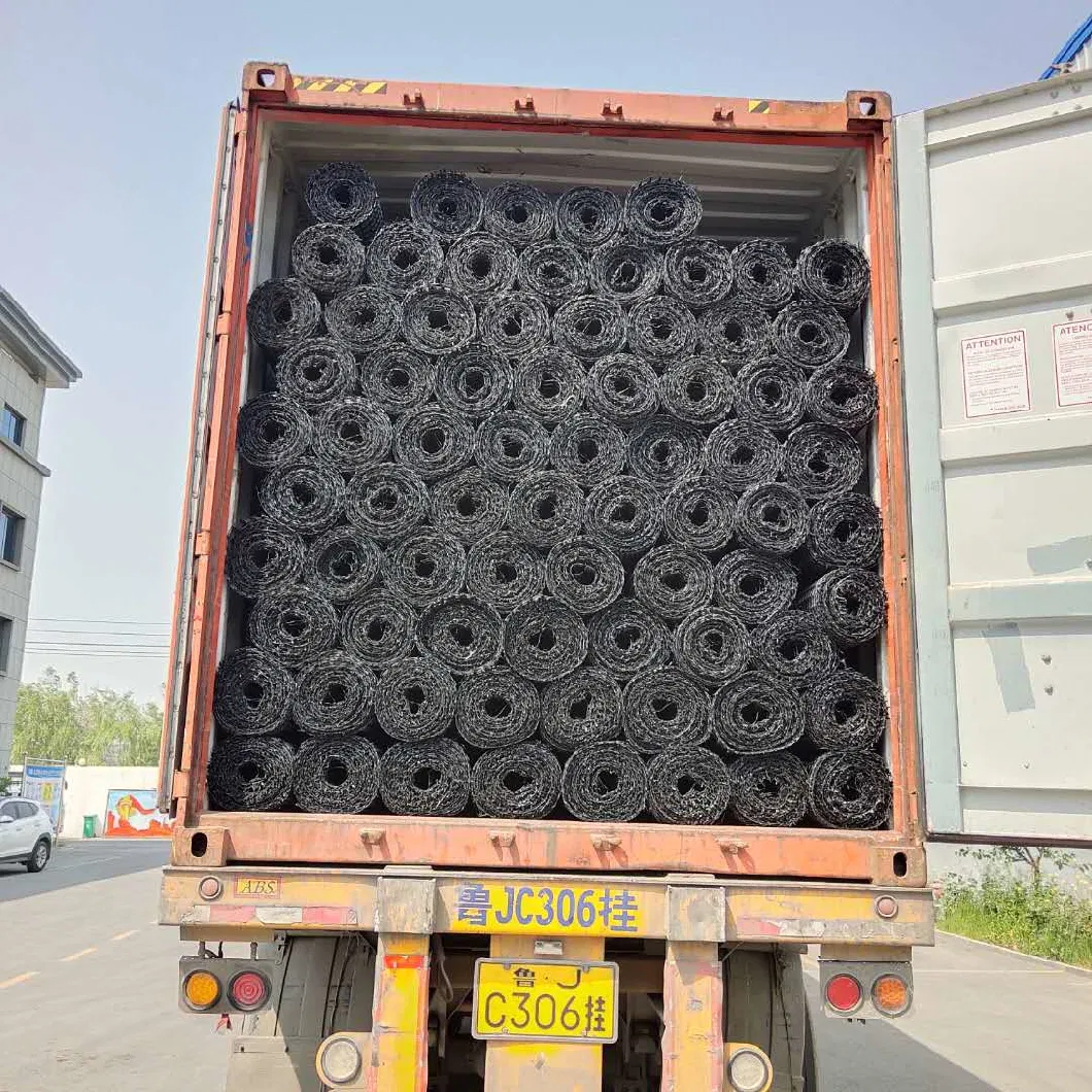 Plastic Bidirectional Geogrid Road Construction PP Geogrid