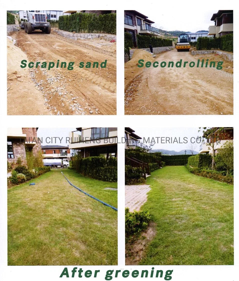 Retaining Walls HDPE Driveway Pavers Plastic Flexible Geocell Price