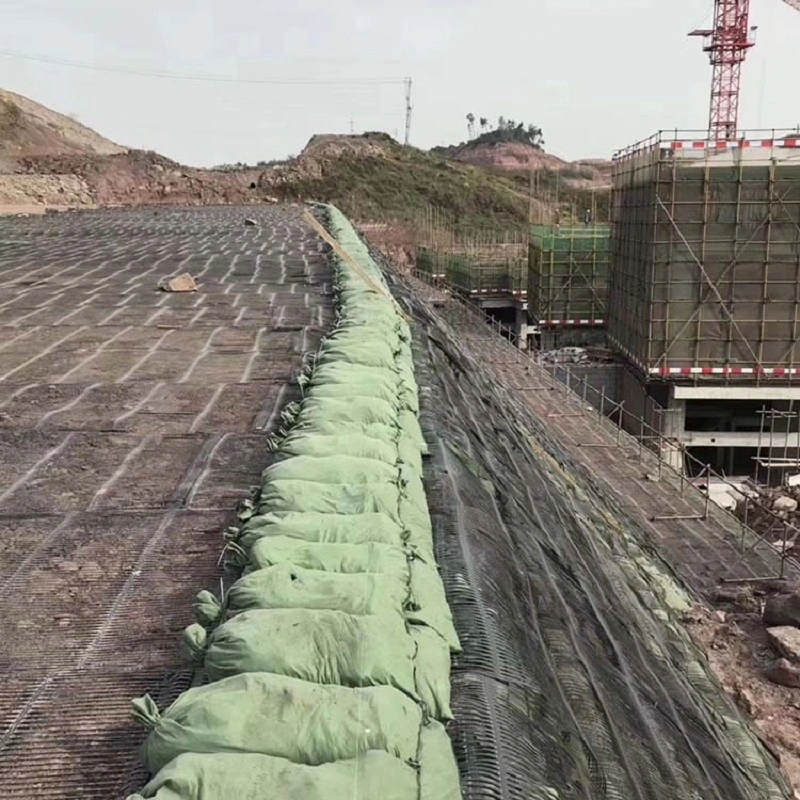 Mining 30-30kn Steel Plastic Welding Geogrid for Reinforcement Projects New Materials